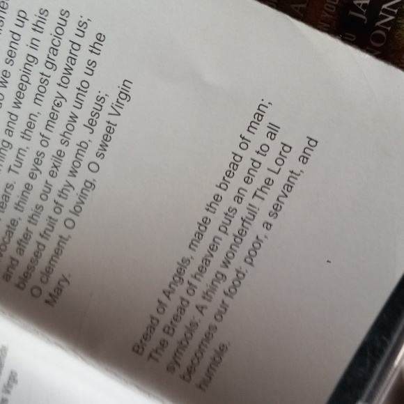 Touched By An Angel CD and Our Lady of Mercy Chancel Choir & Schola CD - Picture 14 of 14